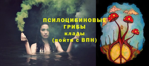прущие крисы Аркадак