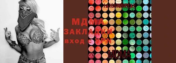 PSILOCYBIN Бородино