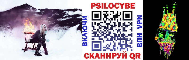 кракен ТОР  Новоалтайск  Псилоцибиновые грибы Magic Shrooms 